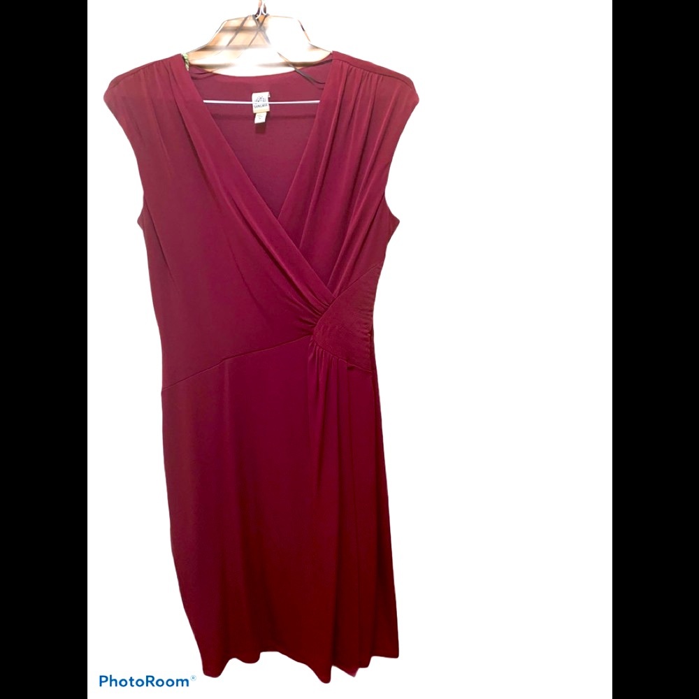 SIGNATURE BY SANGRIA SOPHISTICATED DRESS WITH SIDE RUCHING